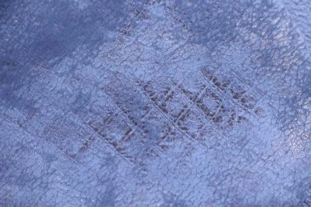 Holland Velvet Print ak New Design pou Sofa